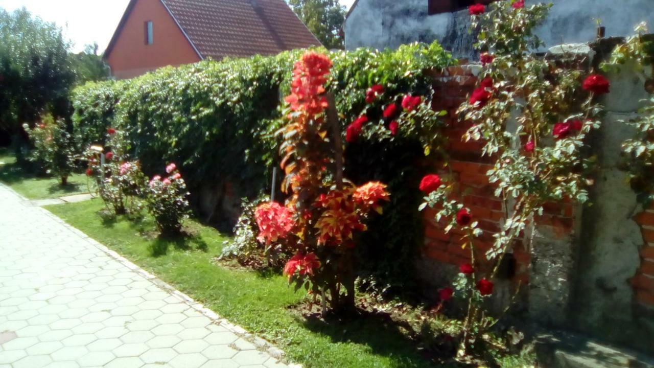Apartman Peric Ðakovo Zewnętrze zdjęcie