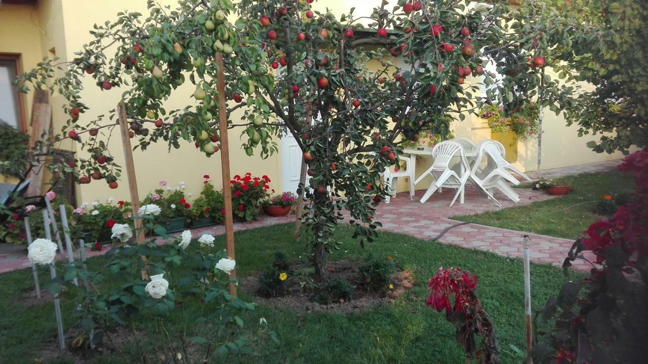 Apartman Peric Ðakovo Zewnętrze zdjęcie